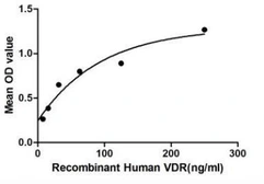 Human Vitamin D Receptor protein, His tag. GTX00163-pro