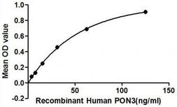 Human PON3 protein, His tag. GTX00164-pro