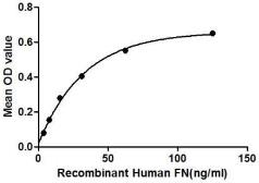 Human Fibronectin protein, His tag. GTX00166-pro