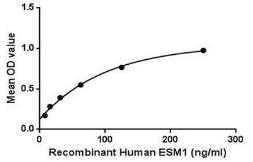 Human ESM1 protein, His tag. GTX00169-pro