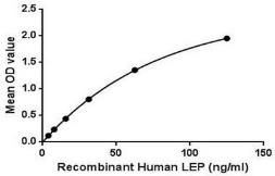 Human Leptin protein, His and GST tag. GTX00170-pro