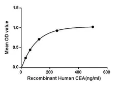 Human CD66e protein, His tag. GTX00182-pro
