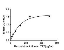 Human Tyrosine Aminotransferase protein, His tag. GTX00184-pro