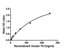 Human Thymidine Kinase 1 protein, His and GST tag. GTX00185-pro