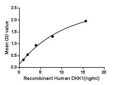 Human DKK1 protein, His tag. GTX00188-pro