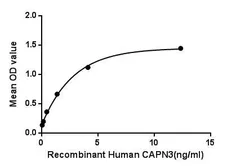 Human Calpain 3 protein, His tag. GTX00194-pro
