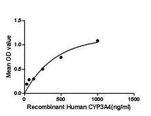Human CYP3A4 protein, His tag. GTX00198-pro