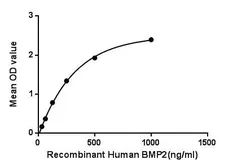 Human BMP2 protein, His and GST tag. GTX00202-pro
