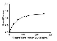 Human Neutrophil elastase protein, His and GST tag. GTX00217-pro