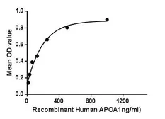 Human Apolipoprotein A1 protein, His tag. GTX00221-pro