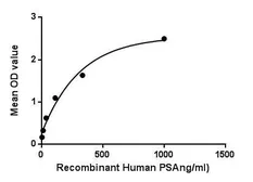 Human NPEPPS protein, His tag. GTX00222-pro