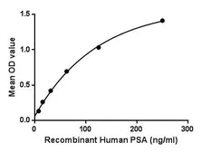 Human NPEPPS protein, His tag. GTX00223-pro