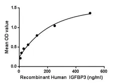 Human IGFBP3 protein, His tag. GTX00231-pro