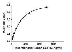 Human Her2 / ErbB2 protein, His and GST tag. GTX00232-pro