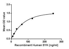 Human Syk protein, His tag. GTX00233-pro