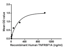 Human TNF Receptor I protein, His tag. GTX00236-pro