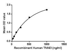 Human Cardiac Troponin I protein, His tag. GTX00237-pro