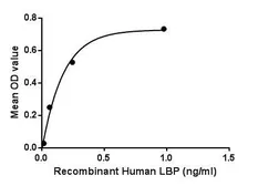 Human LBP protein, His tag. GTX00248-pro