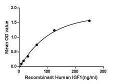 Human IGF1 protein, His tag (active). GTX00250-pro