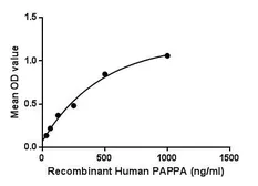 Human PAPP A protein, His tag. GTX00255-pro