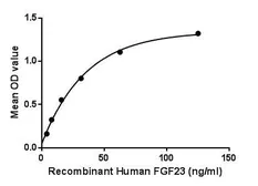 Human FGF23 protein, His tag. GTX00257-pro