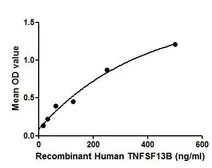 Human BAFF protein, His tag. GTX00260-pro