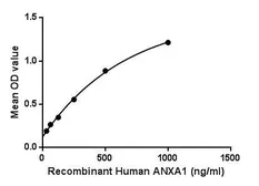 Human Annexin A1 protein, His tag. GTX00274-pro