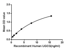 Human UGCG protein, His tag. GTX00280-pro