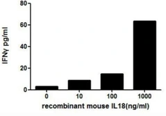 Mouse IL18 protein, His tag (active). GTX00284-pro