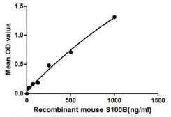 Mouse S100 beta protein, His tag. GTX00294-pro