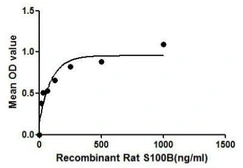 Rat S100 beta protein, His tag. GTX00346-pro