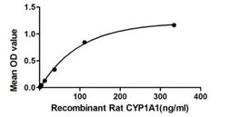 Rat CYP1A1 protein, His and GST tag. GTX00355-pro