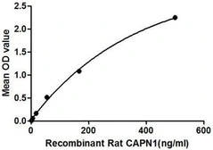 Rat Calpain 1 protein, His tag. GTX00358-pro