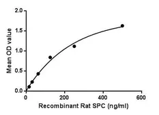Rat SFTPC protein, His tag. GTX00370-pro