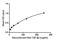 Rat TGF beta 2 protein, His tag. GTX00377-pro