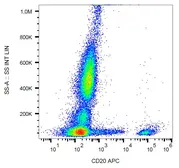 Anti-CD20 antibody [2H7] (APC) used in Flow cytometry (FACS). GTX00466-07