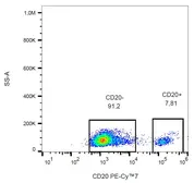 Anti-CD20 antibody [2H7] (PE-Cy7) used in Flow cytometry (FCM). GTX00466-10