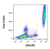 Anti-CD16 antibody [3G8] (PE) used in Flow cytometry (FCM). GTX00468-08