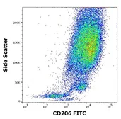 Anti-Mannose Receptor antibody [15-2] (FITC) used in Flow cytometry (FACS). GTX00491-06