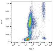 Anti-CCR3 antibody [5E8] (PE) used in Flow cytometry (FCM). GTX00536-08