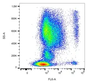 Anti-CCR3 antibody [5E8] used in Flow cytometry (FCM). GTX00536