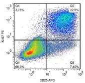 Anti-Ki67 antibody [Ki-67] (PE) used in Flow cytometry (FCM). GTX00538-08