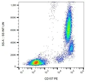 Anti-BST1 antibody [SY11B5] (PE) used in Flow cytometry (FACS). GTX00541-08