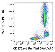 Anti-SIRP alpha + SIRP beta antibody [SE5A5] used in Flow cytometry (FACS). GTX00543
