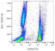Anti-Glycophorin A antibody [JC159] (FITC) used in Flow cytometry (FACS). GTX00583-06