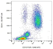 Anti-CD10 antibody [LT10] used in Flow cytometry (FACS). GTX00591