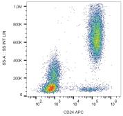 Anti-CD24 antibody [SN3] (APC) used in Flow cytometry (FACS). GTX00597-07
