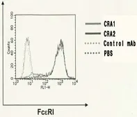 Anti-Fc epsilon R1 alpha antibody [CRA1] used in Flow cytometry (FACS). GTX00711