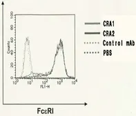 Anti-Fc epsilon R1 alpha antibody [CRA1] used in Flow cytometry (FCM). GTX00711