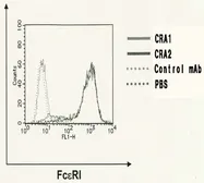 Anti-Fc epsilon R1 alpha antibody [CRA2] used in Flow cytometry (FACS). GTX00712